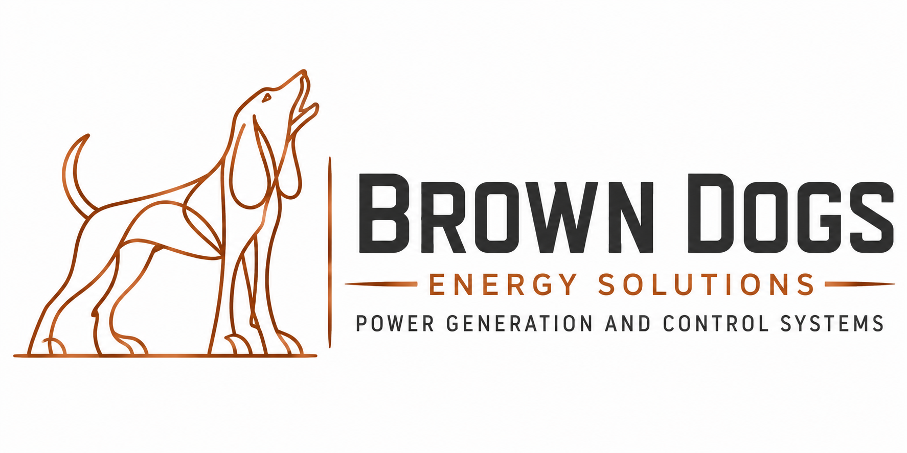 Brown Dogs Energy Solutions — Power Generation and Control Systems